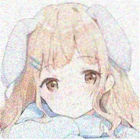 读者夜航灯头像